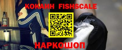 спиды Гатчина