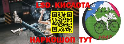 спиды Гатчина