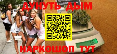 спиды Гатчина