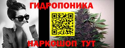 спиды Гатчина