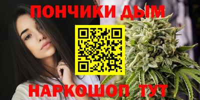 спиды Гатчина