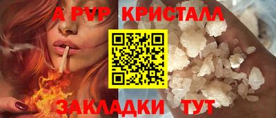 спиды Гатчина