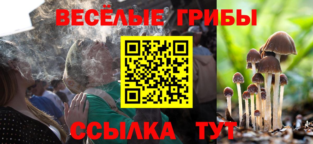 продажа наркотиков  Галлюциногенные грибы Psilocybine cubensis  Вход с VPN  Добрянка  Галлюциногенные грибы Psilocybine cubensis 